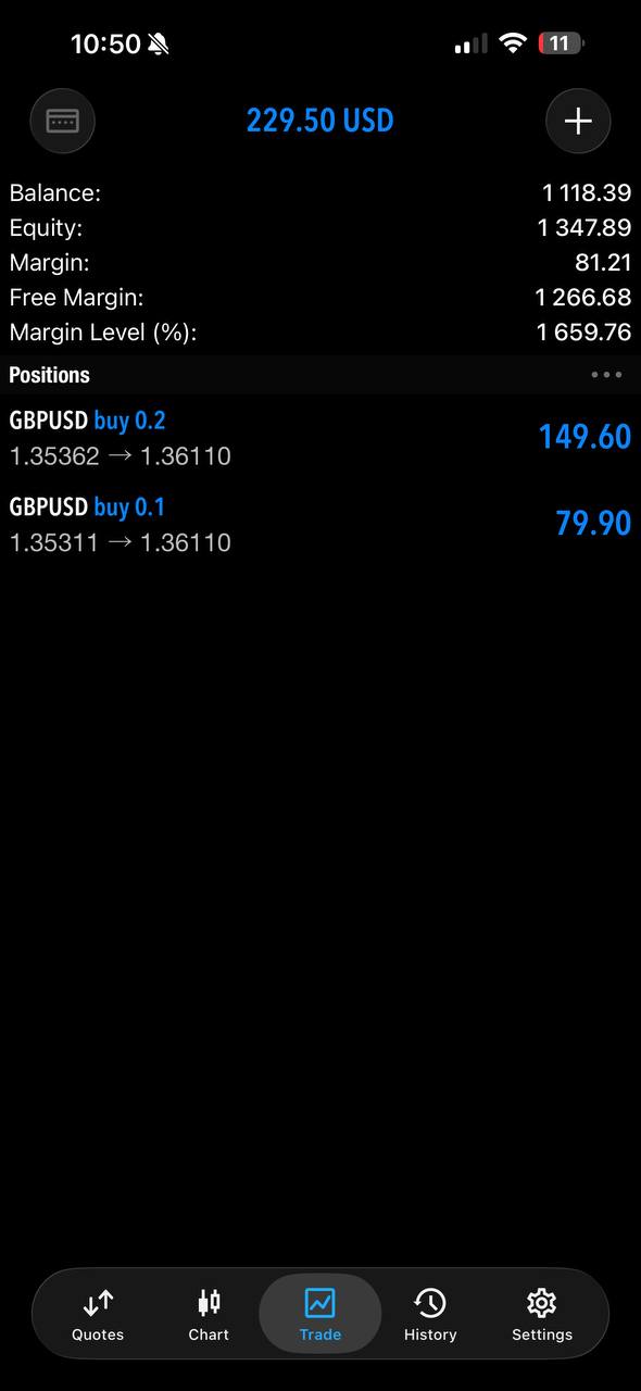 MetaTrader positions screen shared by Romer.